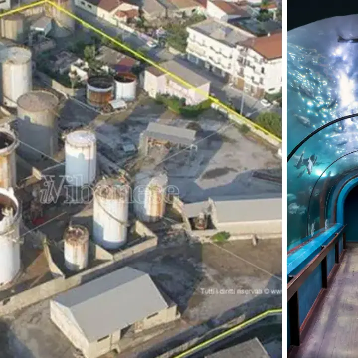 Vibo Marina, un acquario da 8 milioni di euro nell’area degradata dell’ex Basalti & Bitumi abbandonata da 20 anni\n