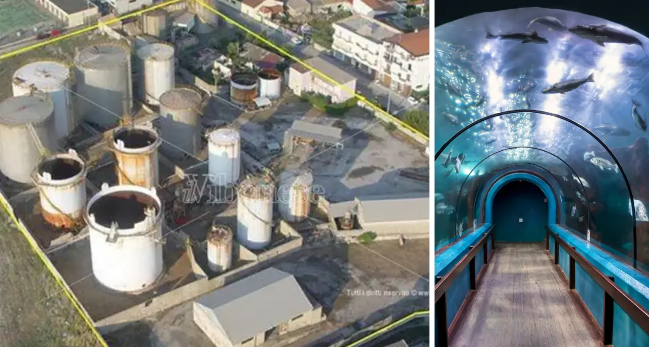 Vibo Marina, un acquario da 8 milioni di euro nell’area degradata dell’ex Basalti & Bitumi abbandonata da 20 anni\n