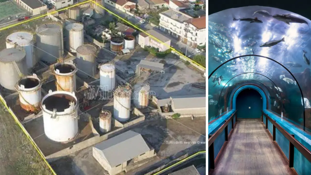 Vibo Marina, un acquario da 8 milioni di euro nell’area degradata dell’ex Basalti & Bitumi abbandonata da 20 anni\n