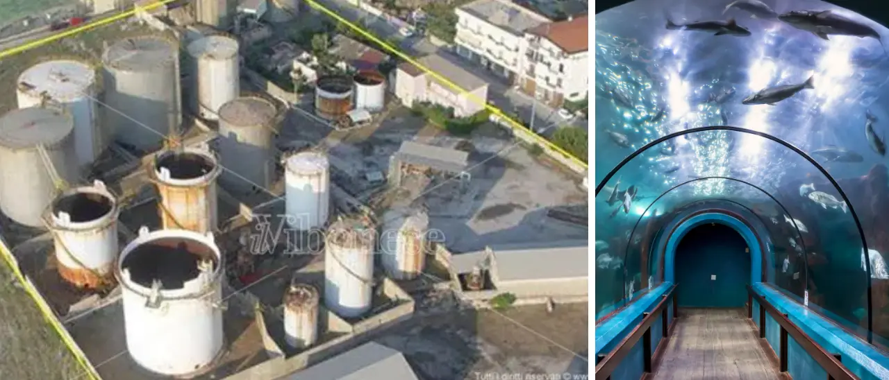 Vibo Marina, un acquario da 8 milioni di euro nell’area degradata dell’ex Basalti & Bitumi abbandonata da 20 anni\n
