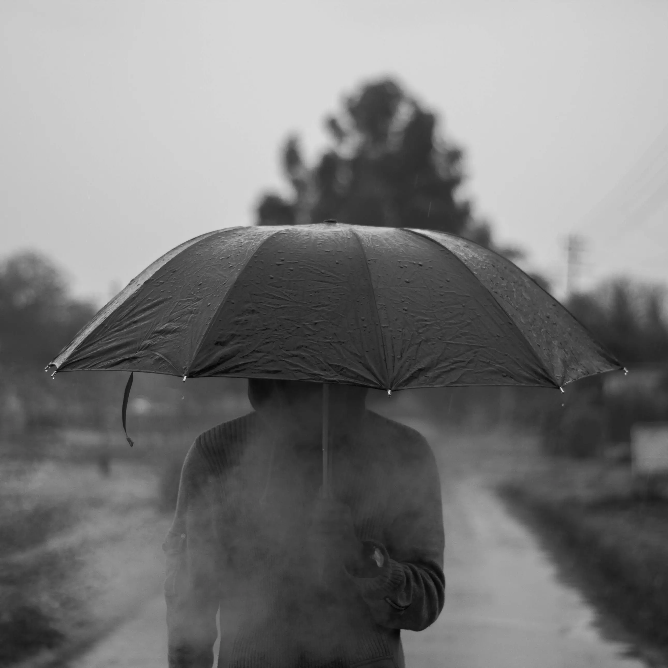 Piove a dirotto da sempre: il maltempo in Calabria è una condizione dello sguardo e del pensiero\n