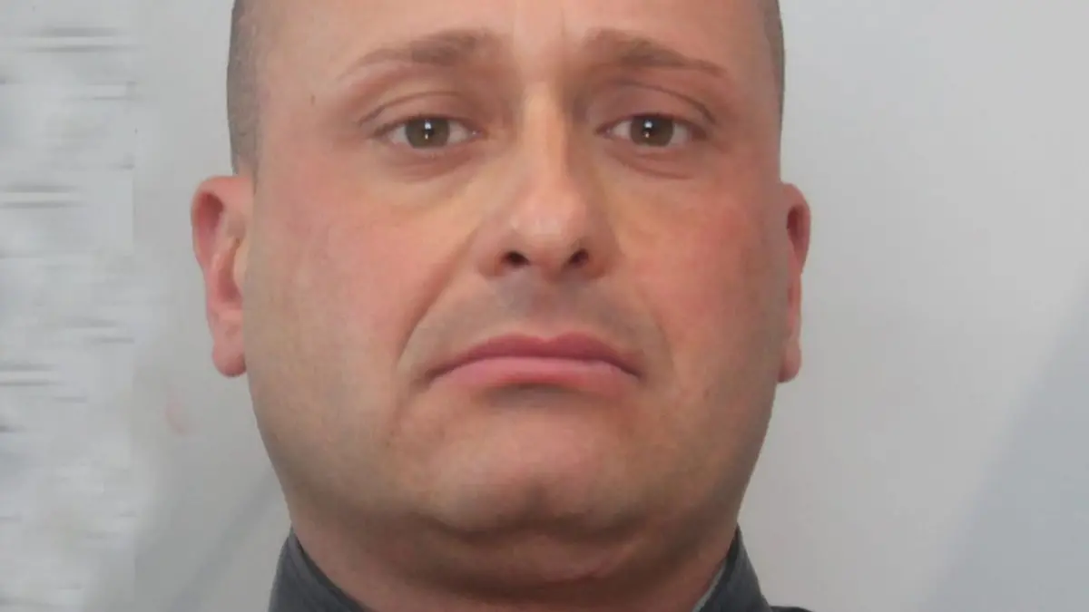 Si tratta dell\\'indagine antimafia coordinata dalla Dda di Catanzaro nel Tirreno cosentino. Ecco gli imputati che dovranno affrontare il rito ordinario