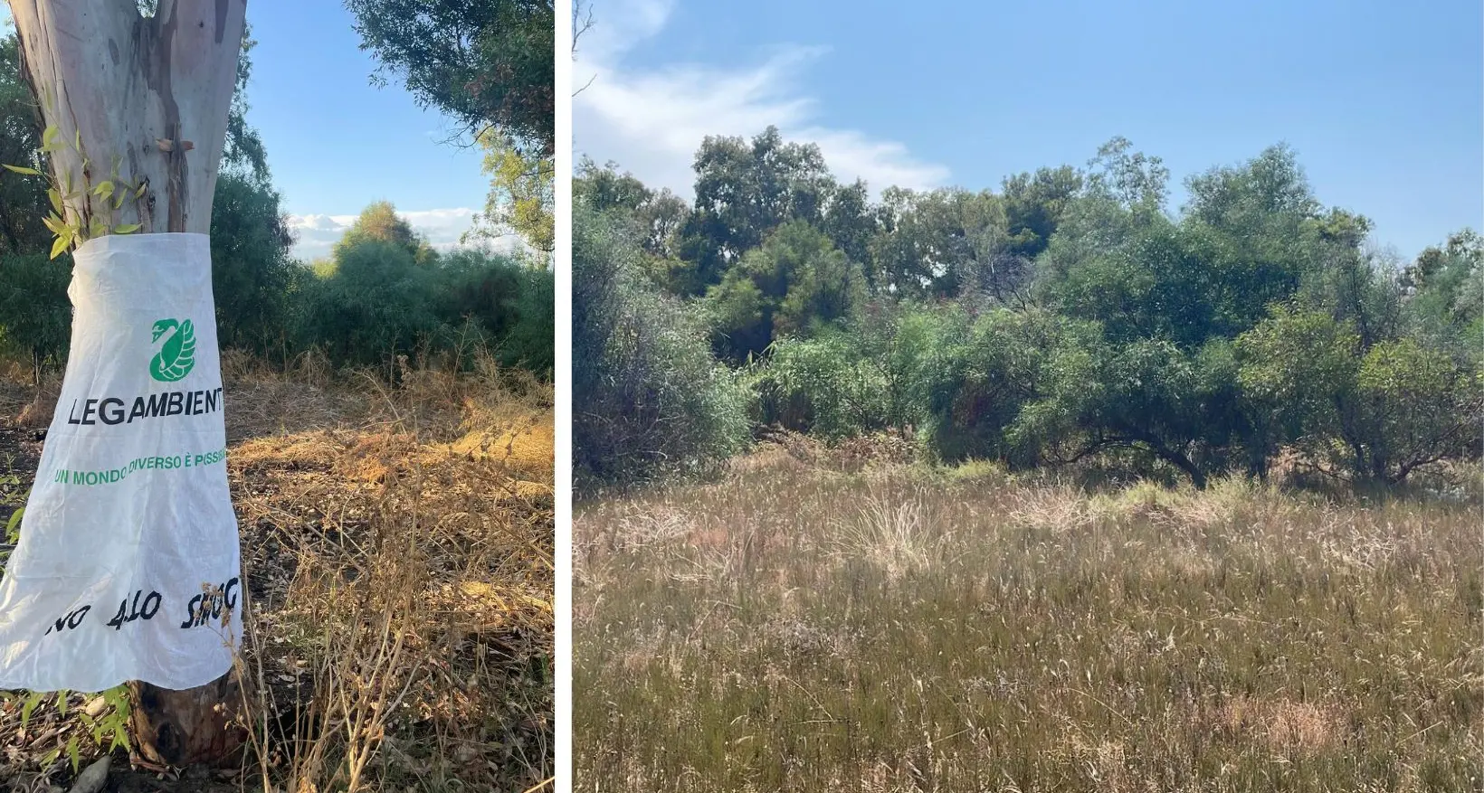 La lotta contro il tempo di Gadice, il sito archeologico di Calopezzati rischia l’oblio:\u00A0Legambiente scrive al Ministero\n