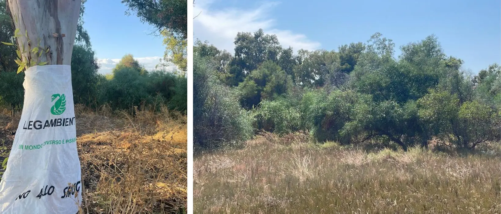 La lotta contro il tempo di Gadice, il sito archeologico di Calopezzati rischia l’oblio:\u00A0Legambiente scrive al Ministero\n