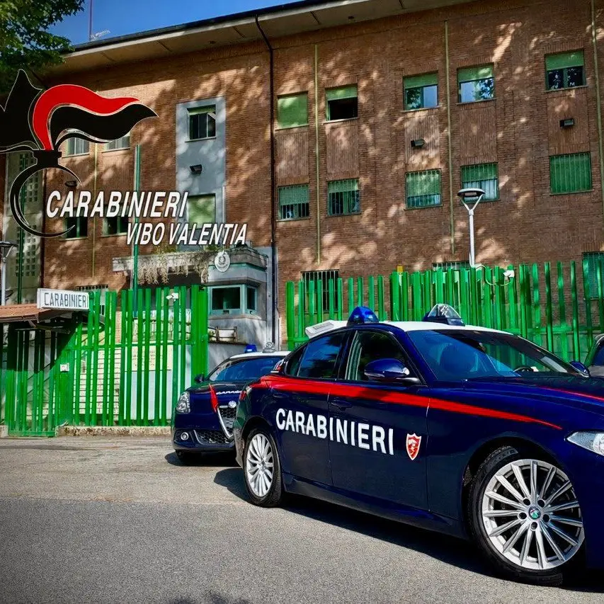 Gerocarne, sorpresi dai carabinieri mentre trasportano rifiuti pericolosi: due denunce\n