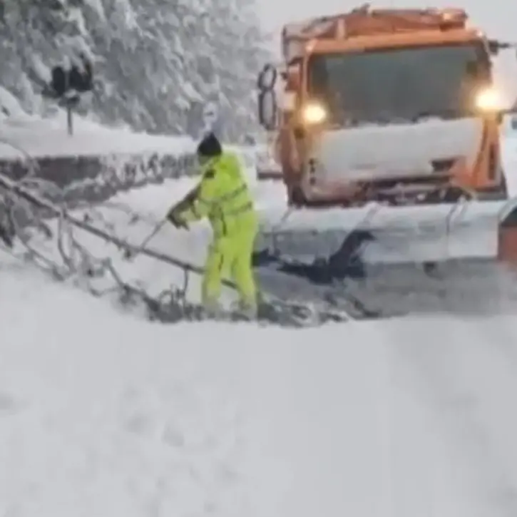 Maltempo:\u00A0disagi in Sila e ad Amantea tra caduta di alberi,\u00A0mareggiate e strada chiuse\u00A0| VIDEO\n