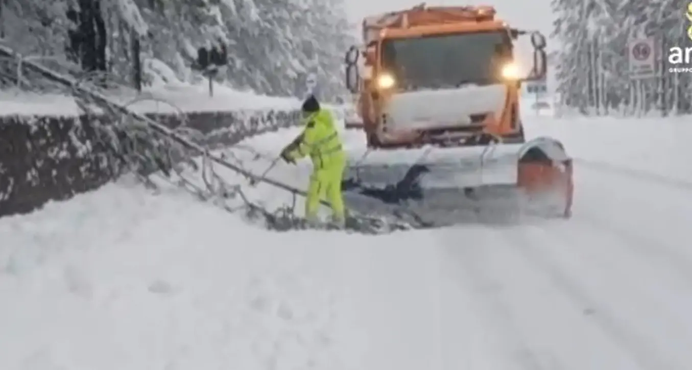 Maltempo:\u00A0disagi in Sila e ad Amantea tra caduta di alberi,\u00A0mareggiate e strada chiuse\u00A0| VIDEO\n