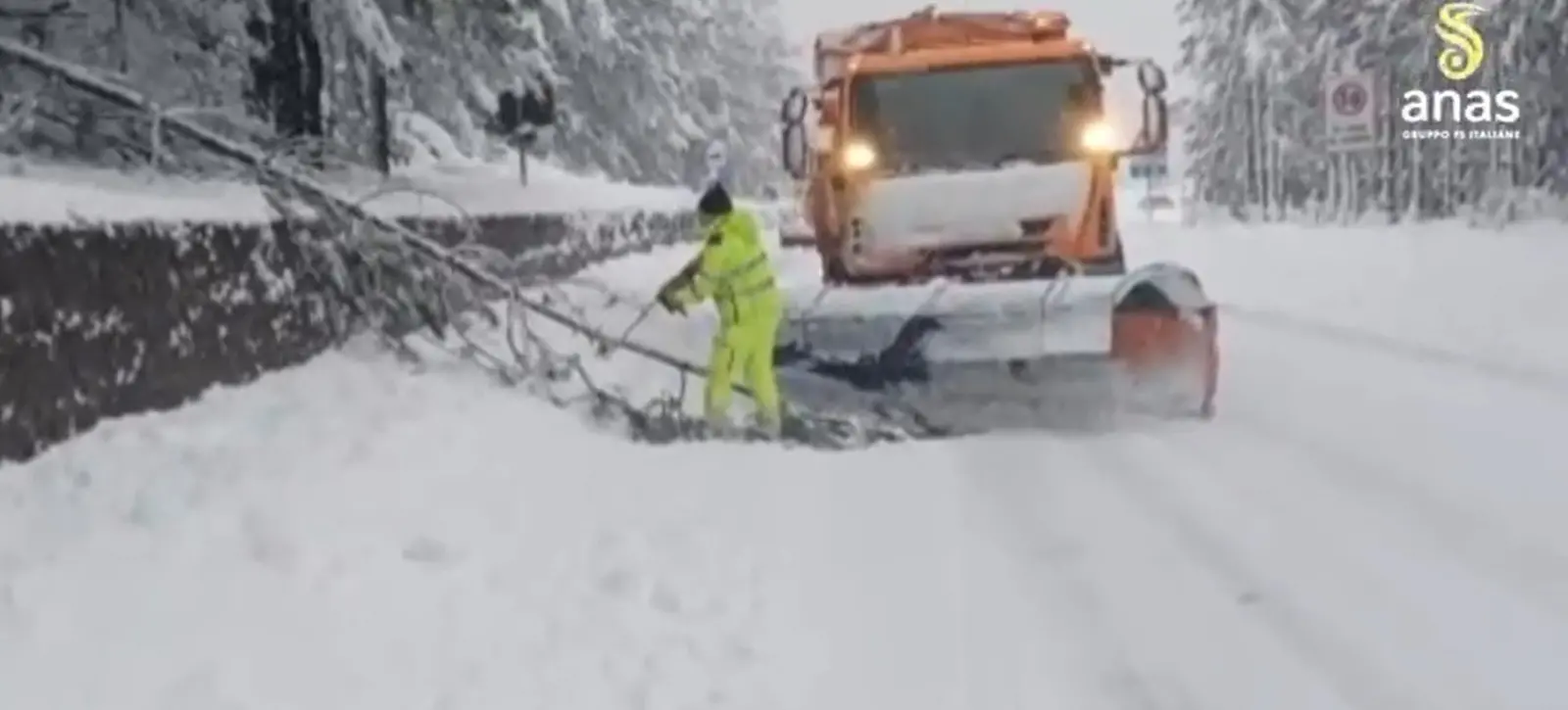 Maltempo:\u00A0disagi in Sila e ad Amantea tra caduta di alberi,\u00A0mareggiate e strada chiuse\u00A0| VIDEO\n