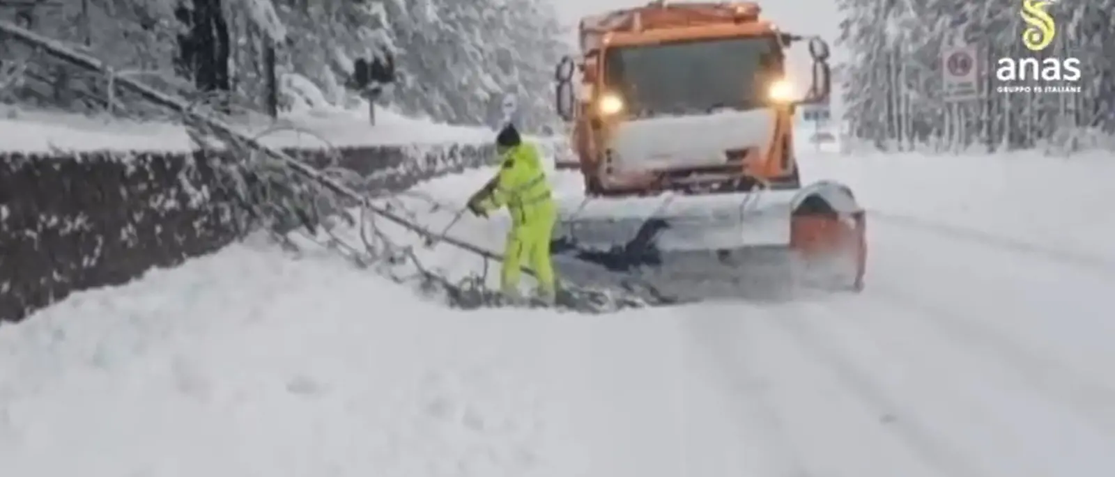 Maltempo:\u00A0disagi in Sila e ad Amantea tra caduta di alberi,\u00A0mareggiate e strada chiuse\u00A0| VIDEO\n