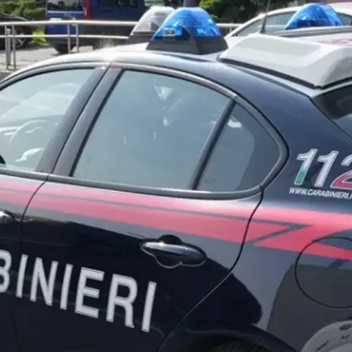 Carabiniere suicida in strada, la nota della Compagnia di Lamezia: «Fermato per un controllo, poi l’insano gesto»\n