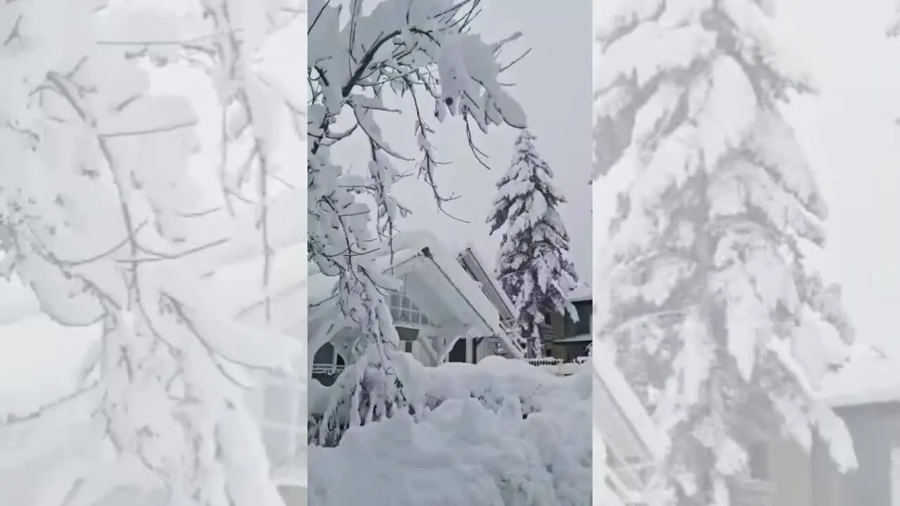 Lo spettacolo di Silvana Mansio imbiancata dalla neve