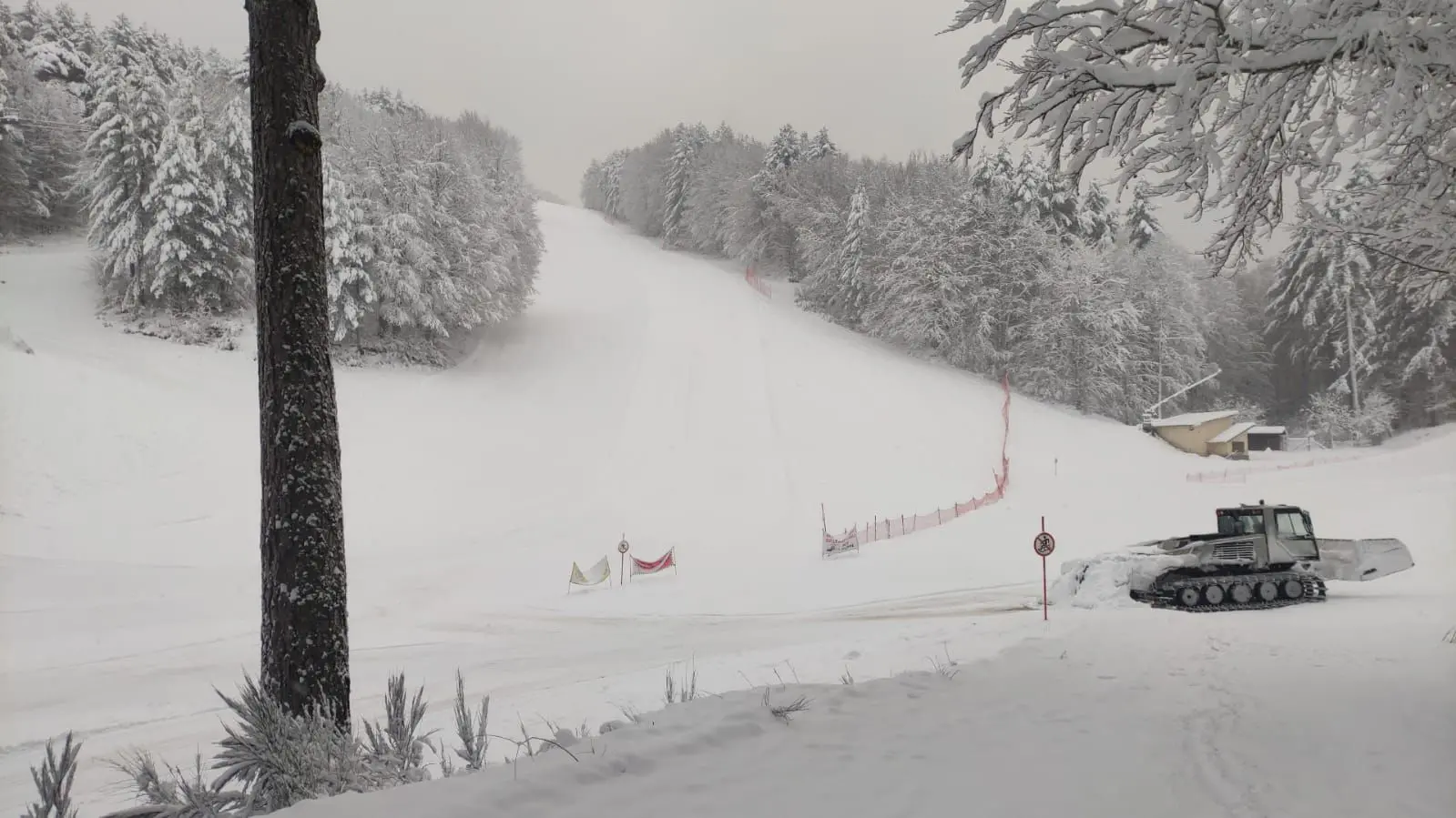 Camigliatello, neve variabile e piste aperte: il bollettino del 2 febbraio invita alla prudenza\n