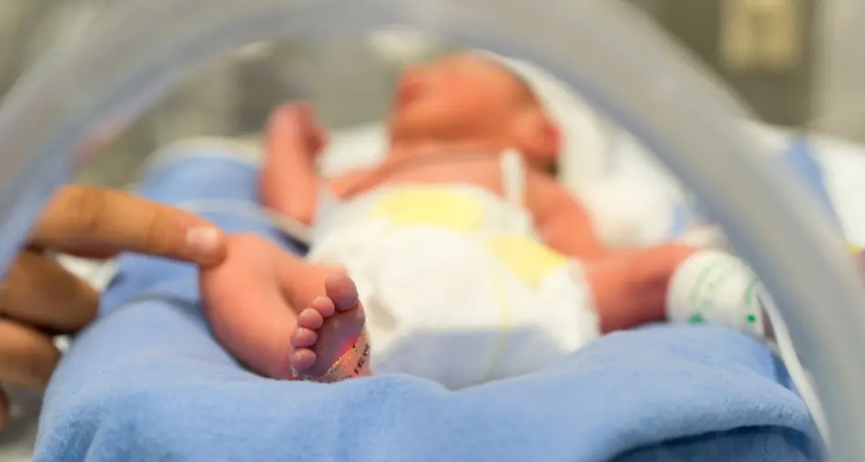 «Riorganizzare la rete di Neonatologia per ridurre i trasferimenti fuori regione», l’appello dei medici calabresi\n