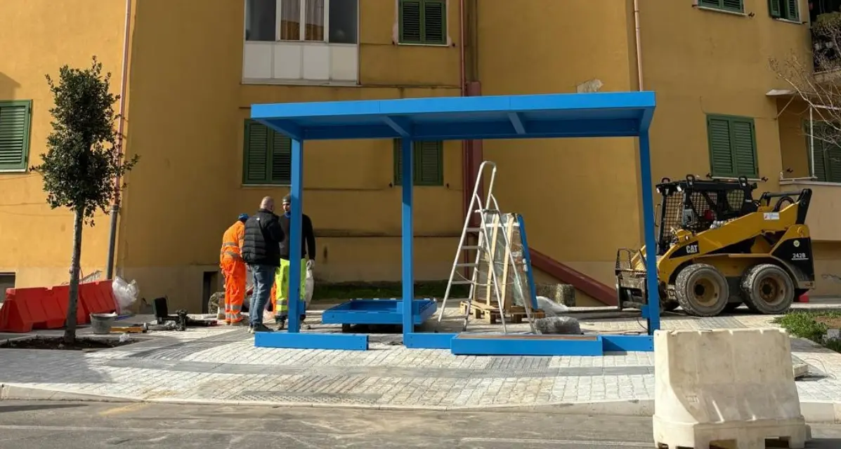 Fermata del bus in una rotatoria di Vibo, l'opposizione: «Scelta che mette a rischio la sicurezza degli utenti e crea ingorghi»\n