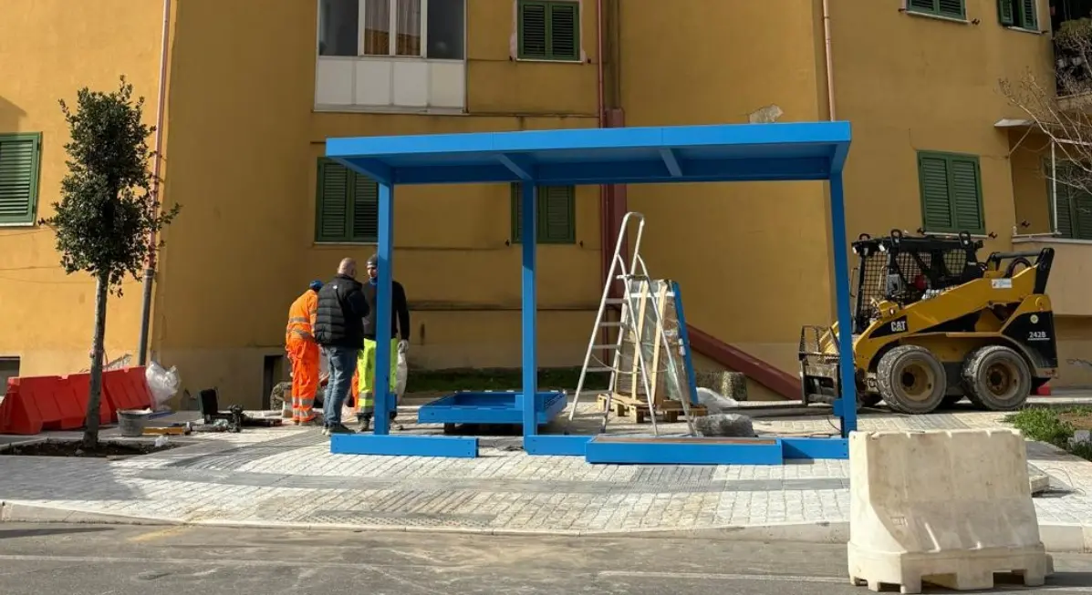 Fermata del bus in una rotatoria di Vibo, l'opposizione: «Scelta che mette a rischio la sicurezza degli utenti e crea ingorghi»\n