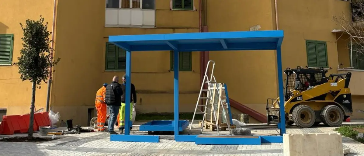 Fermata del bus in una rotatoria di Vibo, l'opposizione: «Scelta che mette a rischio la sicurezza degli utenti e crea ingorghi»\n