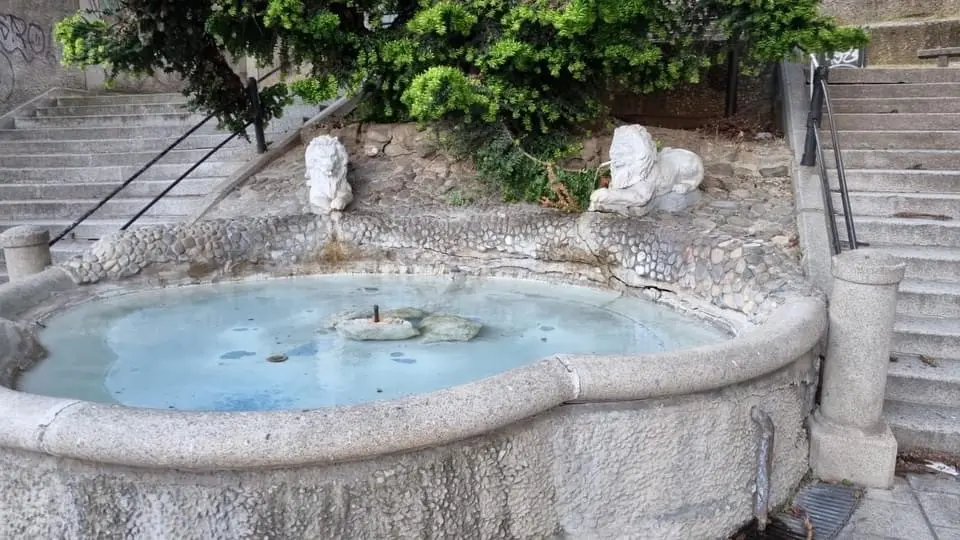 Cosenza, la Giunta approva il progetto di riqualificazione della Scalinata dei Due Leoni\n