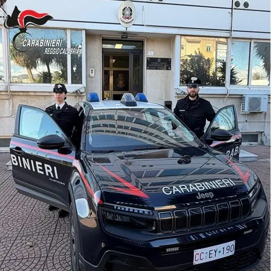 Reggio,\u00A0tenta la fuga dopo il furto e aggredisce i Carabinieri: arrestata una donna\n