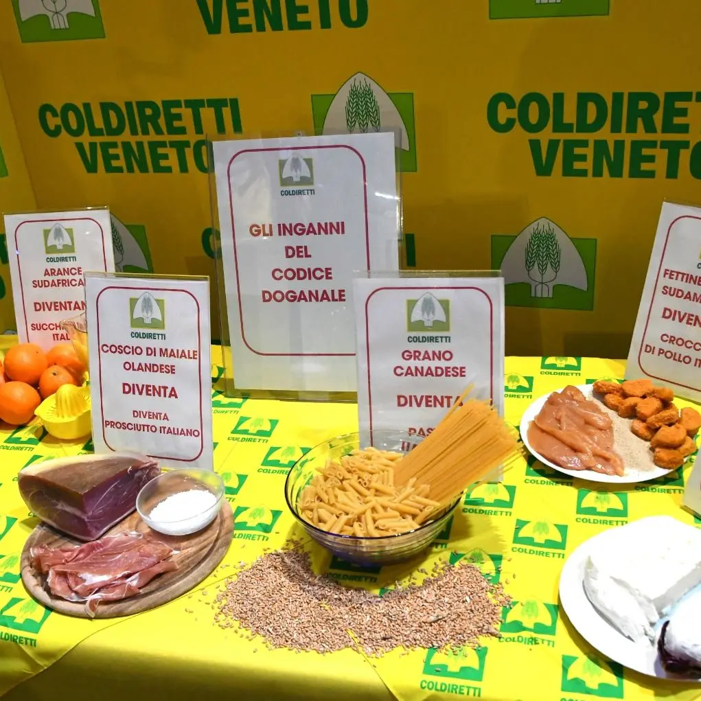 Coldiretti Calabria spinge sul Codice Doganale: primo sì del Consiglio regionale alla revisione delle regole\n