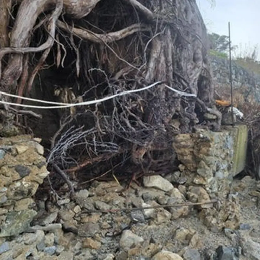 Mareggiate, il comitato Difesa costa Cannitello denuncia i nuovi gravissimi crolli sulla costa\n