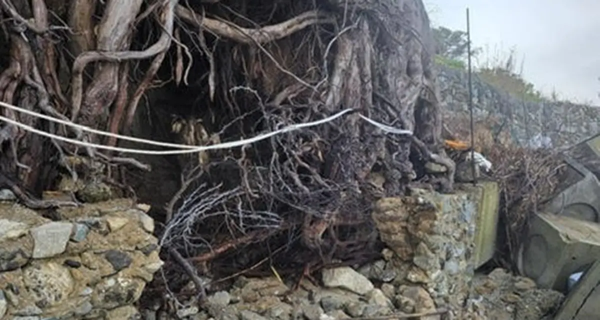 Mareggiate, il comitato Difesa costa Cannitello denuncia i nuovi gravissimi crolli sulla costa\n