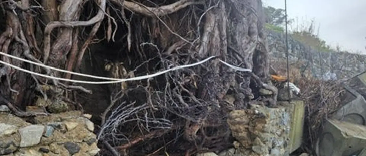 Mareggiate, il comitato Difesa costa Cannitello denuncia i nuovi gravissimi crolli sulla costa\n