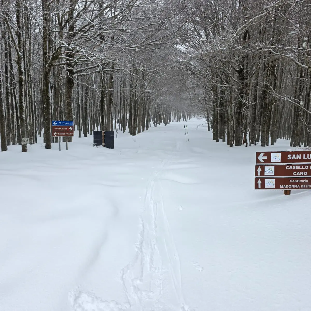 La neve benefica e la montagna silenziosa, il cuore della Calabria reggina ritorna bianco - FOTO\n