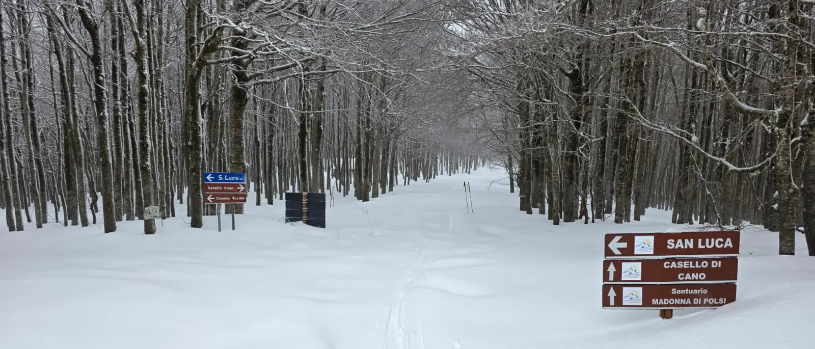 La neve benefica e la montagna silenziosa, il cuore della Calabria reggina ritorna bianco - FOTO\n