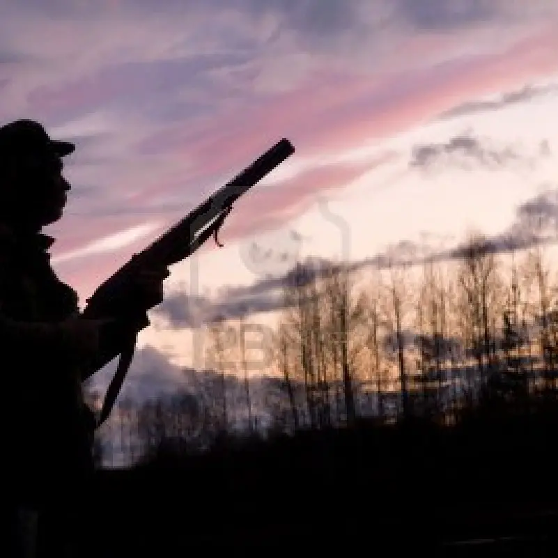 Tre cacciatori uccisi nei boschi dei Nebrodi, il quarto uomo e la sua versione che non regge. Chi c’è dietro il massacro di Montagnareale?\n