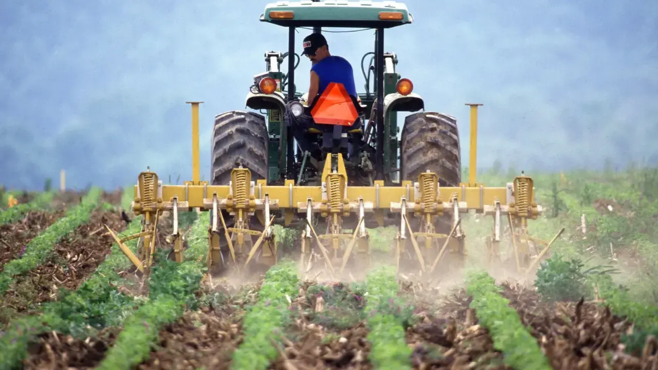 Agricoltura, Arcea autorizza pagamenti per oltre 10 milioni di euro: quasi 3 milioni ai giovani\n
