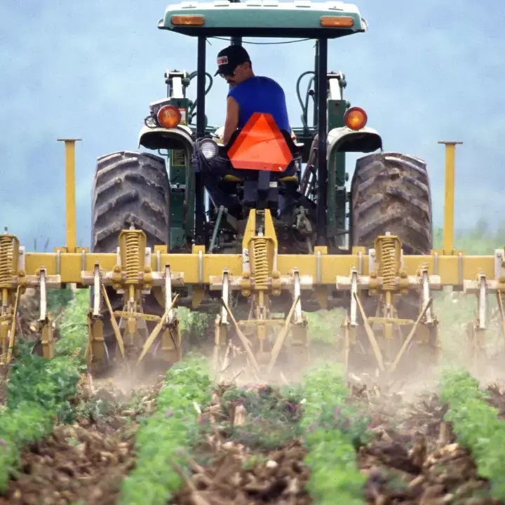Dalla Calabria 44 milioni per i giovani agricoltori: ecco le 450 domande finanziate dalle Regione –\u00A0ELENCO\n
