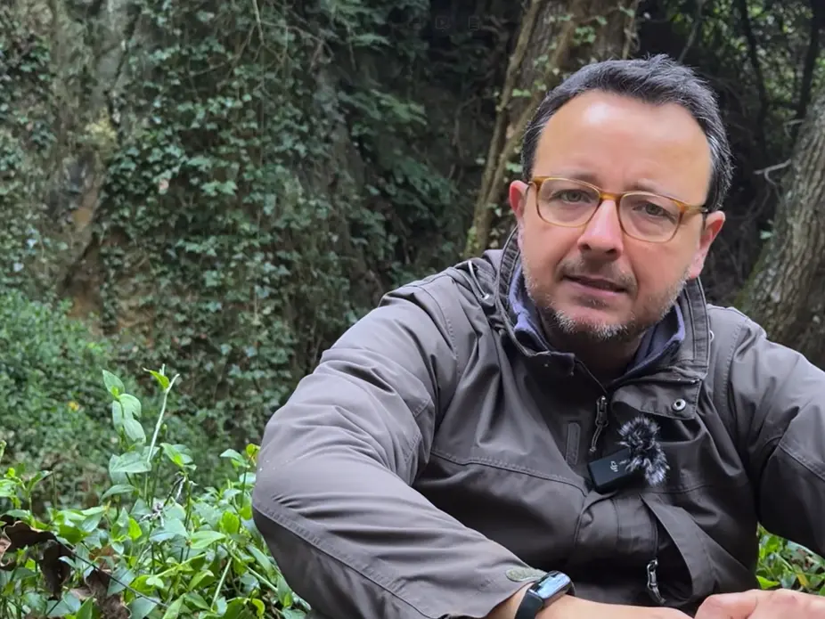 Il sogno di Fabio, lascia i grandi progetti internazionali per ricostruire un mulino in Calabria: «Qui ho ritrovato la libertà»