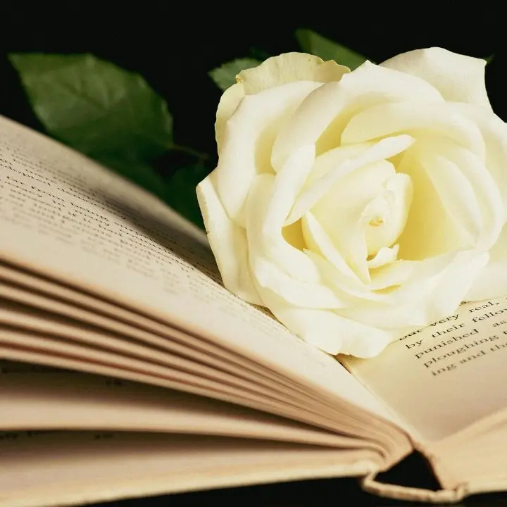 Lucrezia della Valle: la poetessa calabrese che illuminò l’Accademia Cosentina\n