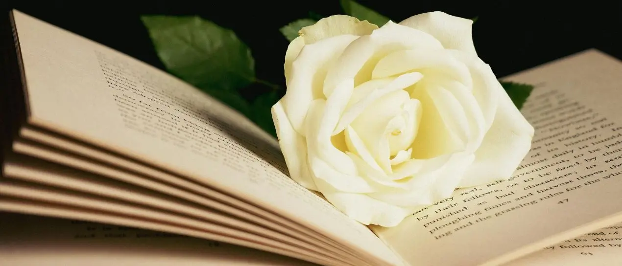 Lucrezia della Valle: la poetessa calabrese che illuminò l’Accademia Cosentina\n