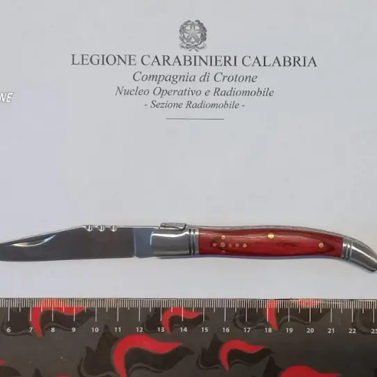 Controlli veicolari a Crotone, i carabinieri sequestrano 16 coltelli\n