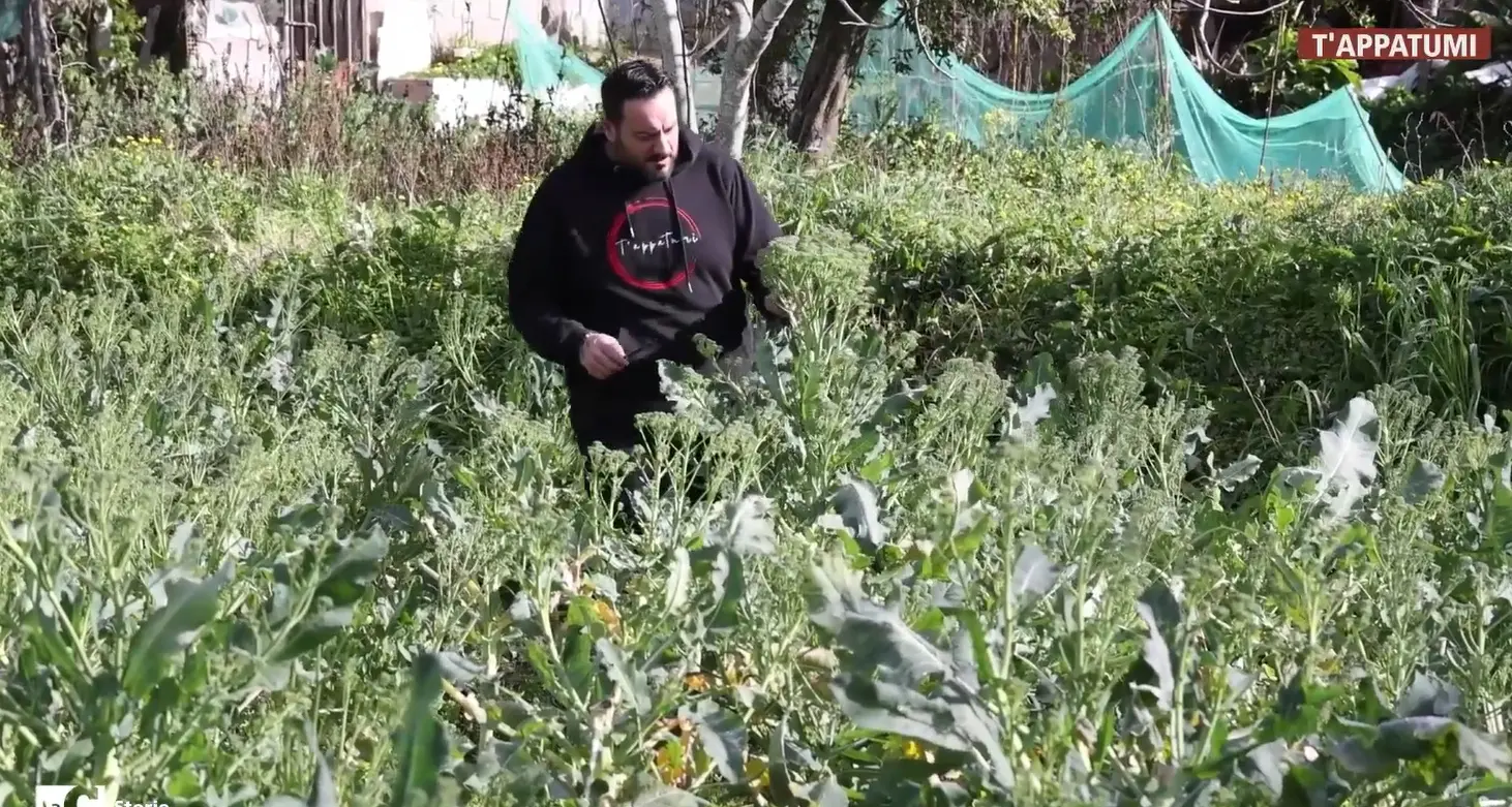 T'appatumi protagonista di LaC Storie