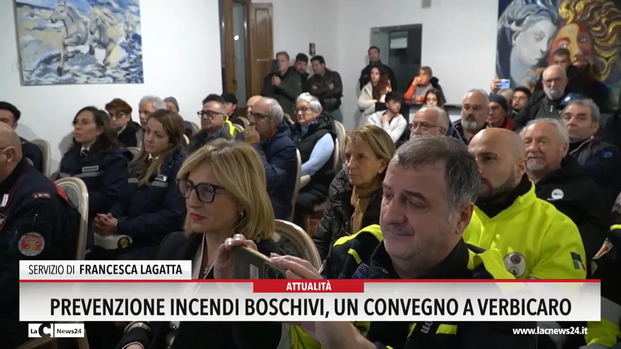 Prevenzione incendi boschivi, un convegno a Varbicaro