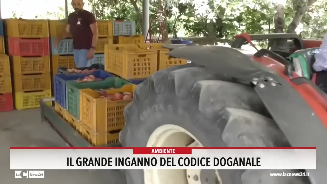 Il grande inganno del codice doganale