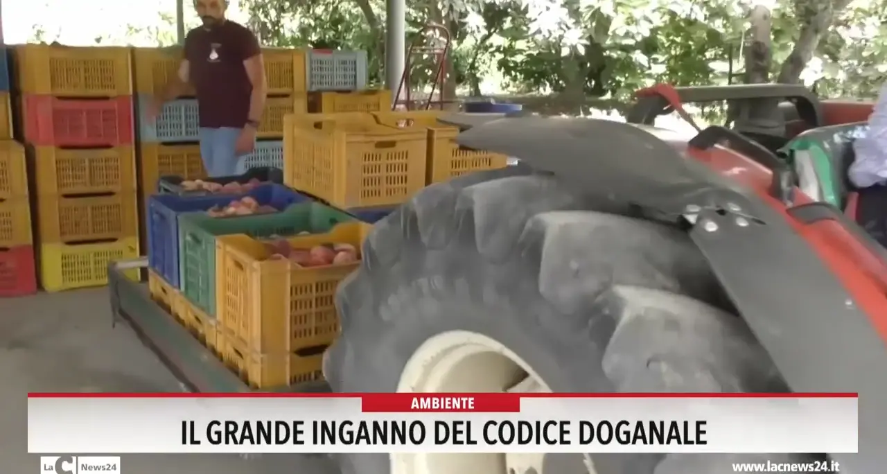 Il grande inganno del codice doganale