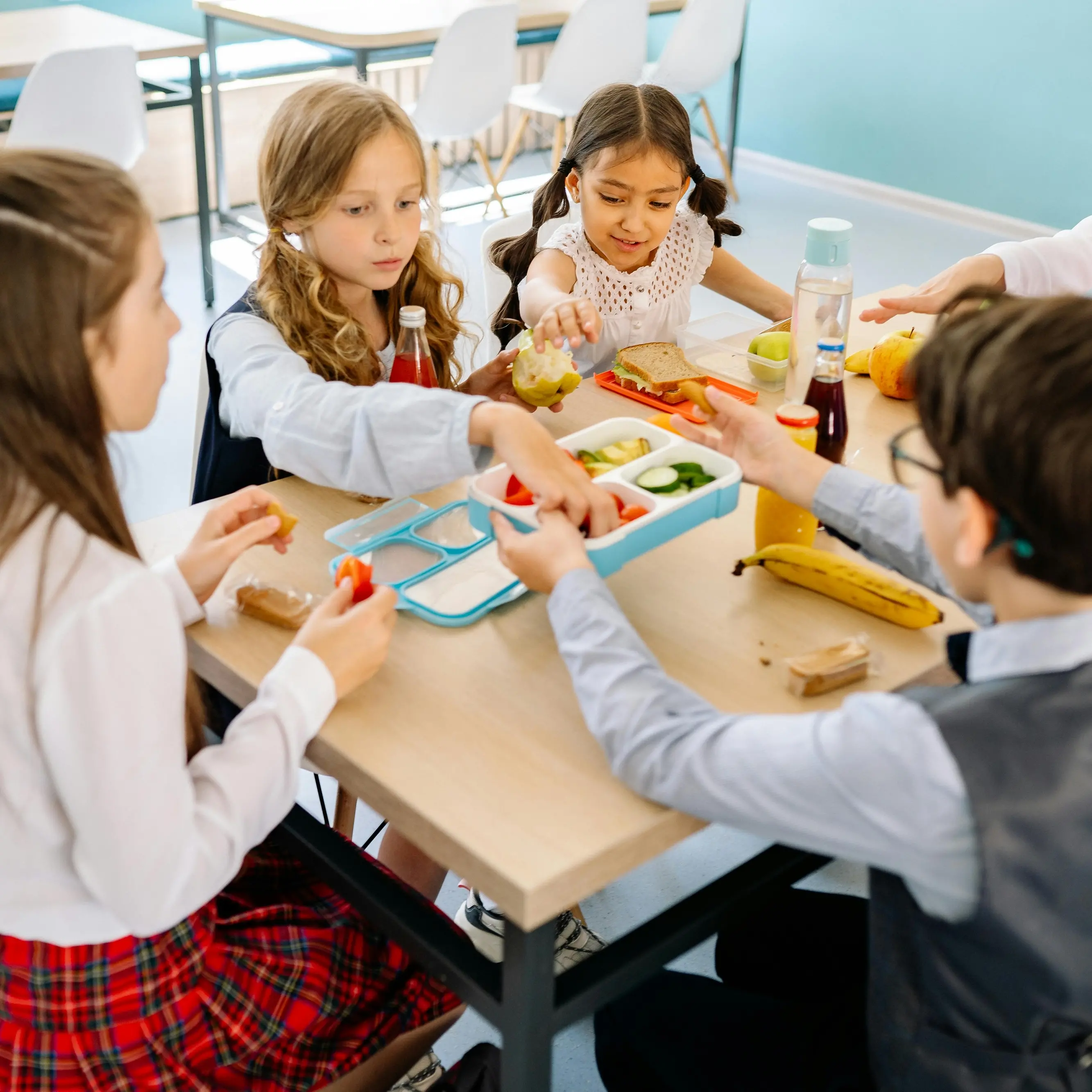 Niente pasti né diritti, in Calabria solo il 22,5% delle scuole statali ha una mensa:\u00A0peggio solo Campania e Sicilia\n