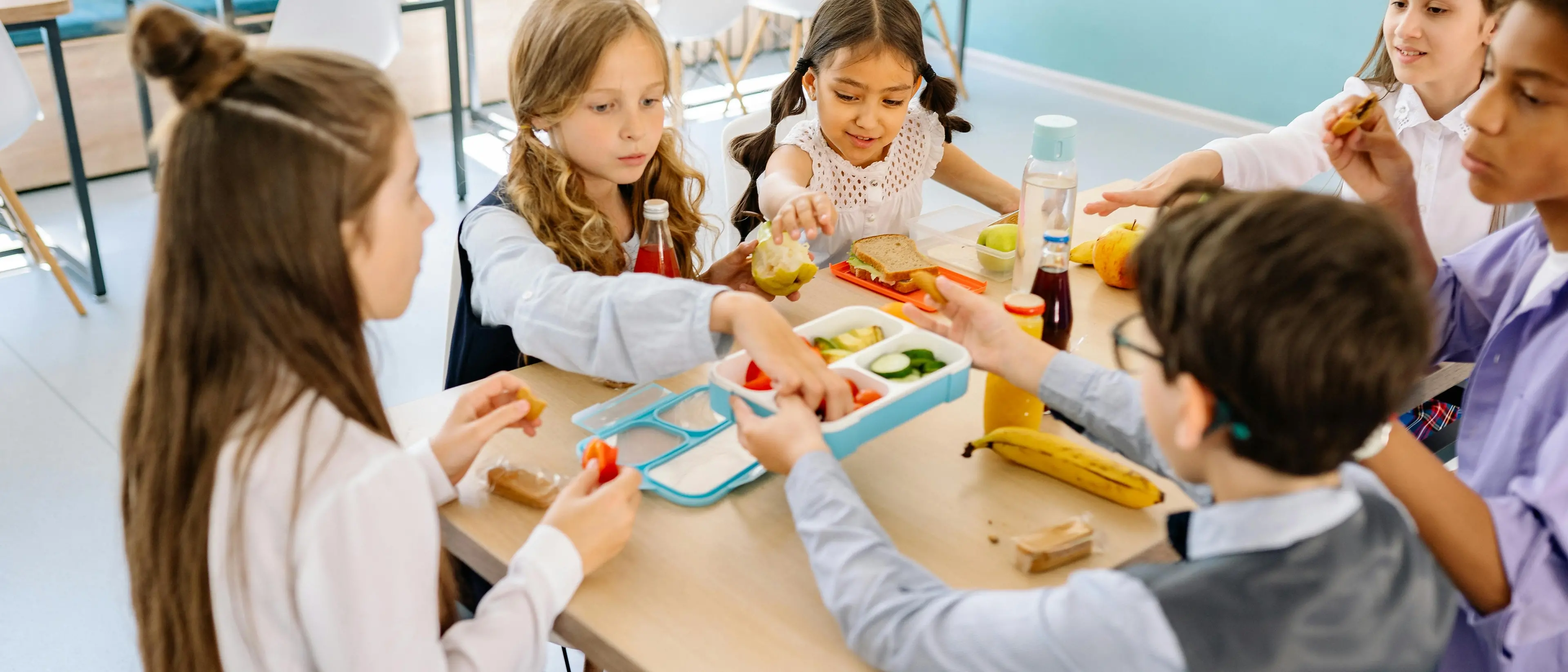 Niente pasti né diritti, in Calabria solo il 22,5% delle scuole statali ha una mensa:\u00A0peggio solo Campania e Sicilia\n