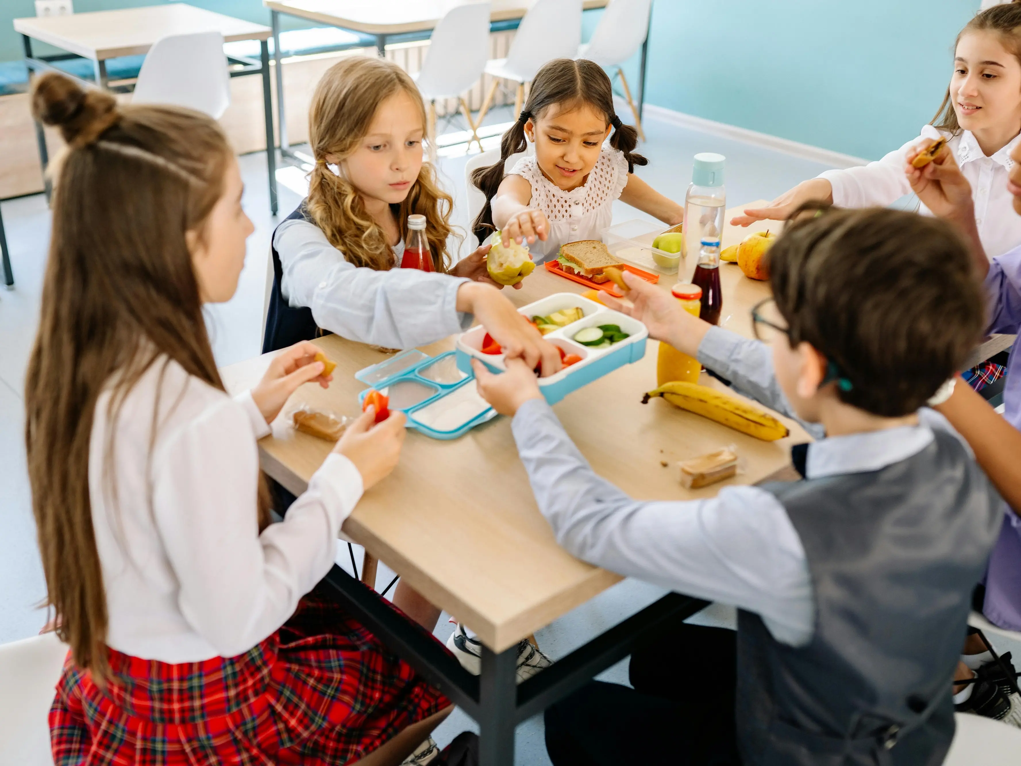 Niente pasti né diritti, in Calabria solo il 22,5% delle scuole statali ha una mensa: peggio solo Campania e Sicilia