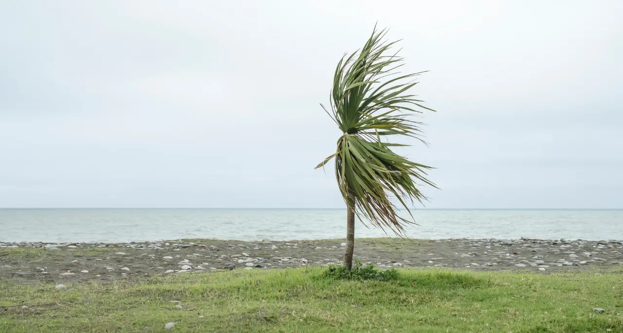 Ancora maltempo in Calabria, anche oggi piogge e raffiche di vento fino a 100\u00A0km/h: ecco le aree più colpite\n