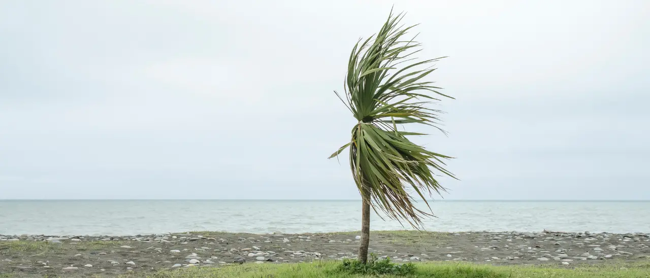 Ancora maltempo in Calabria, anche oggi piogge e raffiche di vento fino a 100\u00A0km/h: ecco le aree più colpite\n