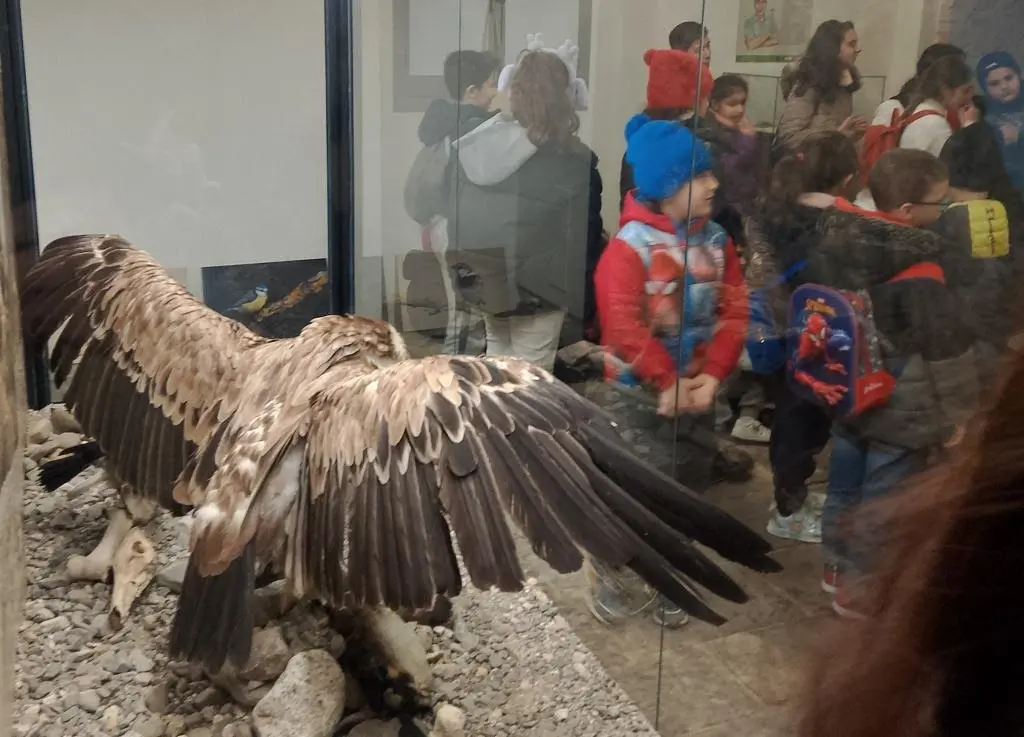 Si concludono i centri invernali “green” di San Roberto e Scilla\n