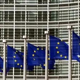 Fondi Psr e Csr, la Calabria promossa a Bruxelles: spesa al 100% e risultati sopra la media nazionale\n