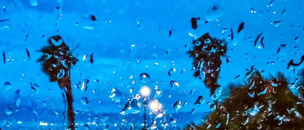 Tra le gocce, un battito di nostalgia\n