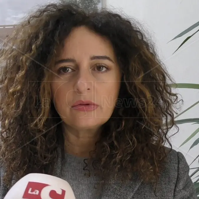 Agenda Urbana, emendamento al Bilancio. Palaia:\u00A0«Una delle principali leve di sviluppo per il centro storico»\n