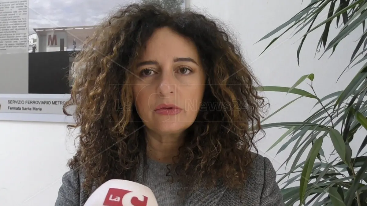 Danni in Galleria Mancuso, le precisazioni della consigliera Palaia\n\n\n