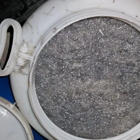 Pesca di frodo nel Crotonese, sequestrati 22 kg di novellame a Strongoli Marina\n